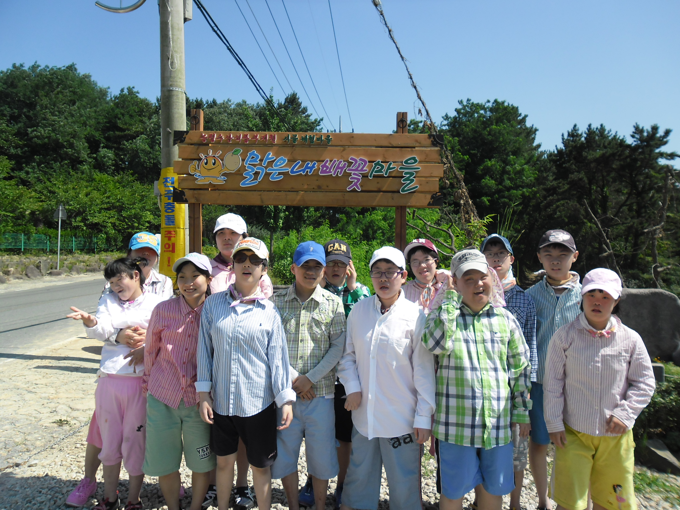 ��ȸ�̹���