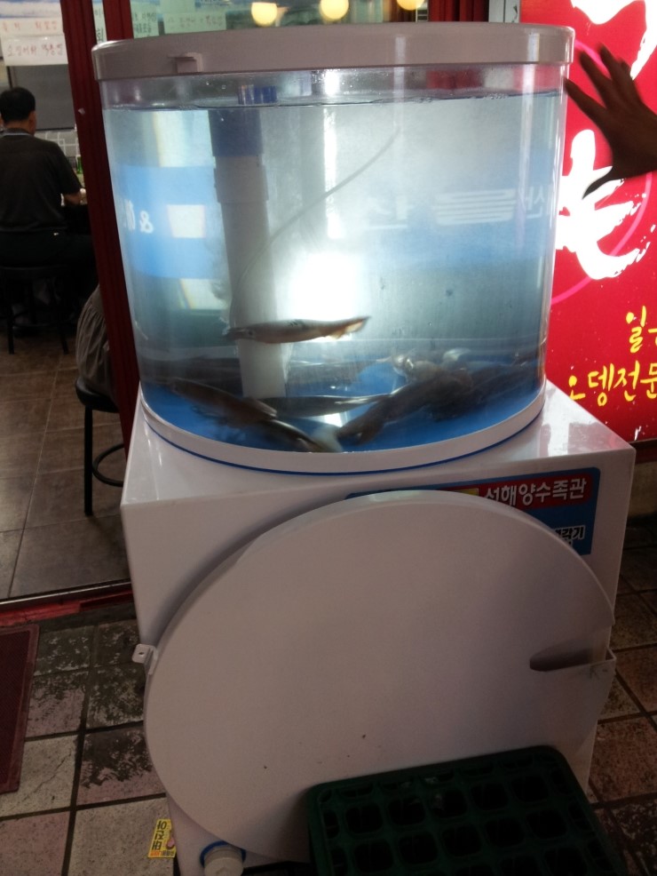 20130524_221558.jpg