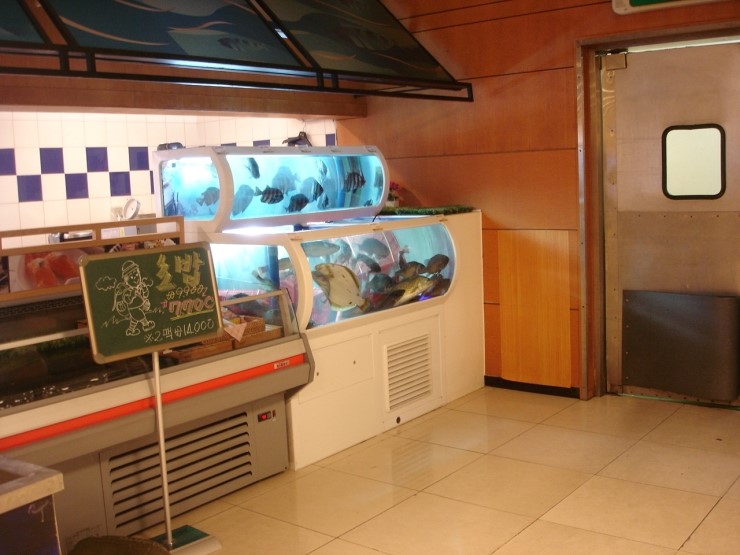 DSC07179.jpg