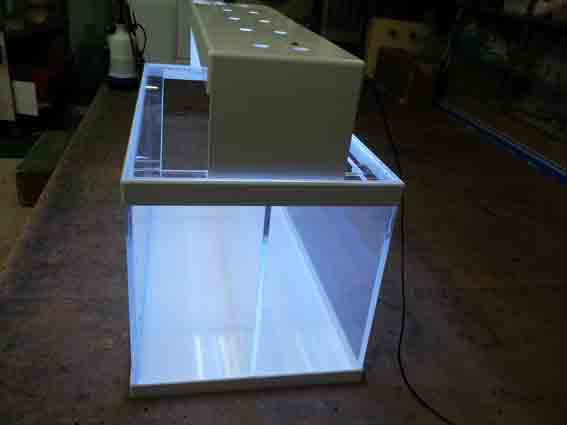 20130408_194936.jpg