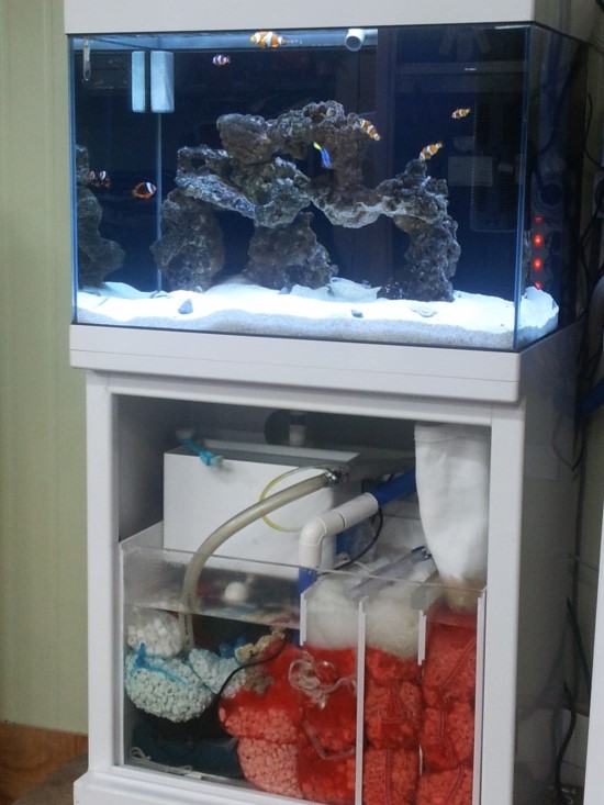 20121018_063605.jpg