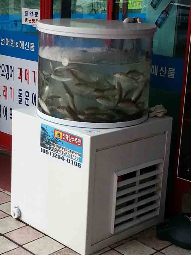 20130906_112412.jpg