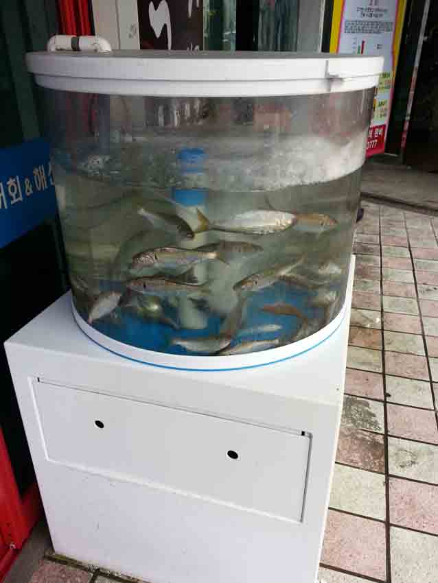 20130906_112325.jpg