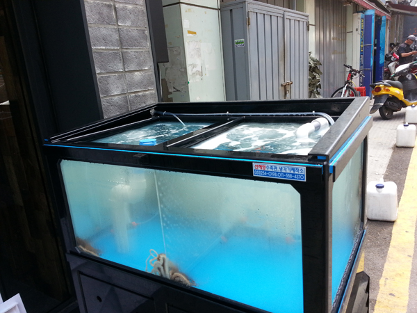 20140530_114808.jpg