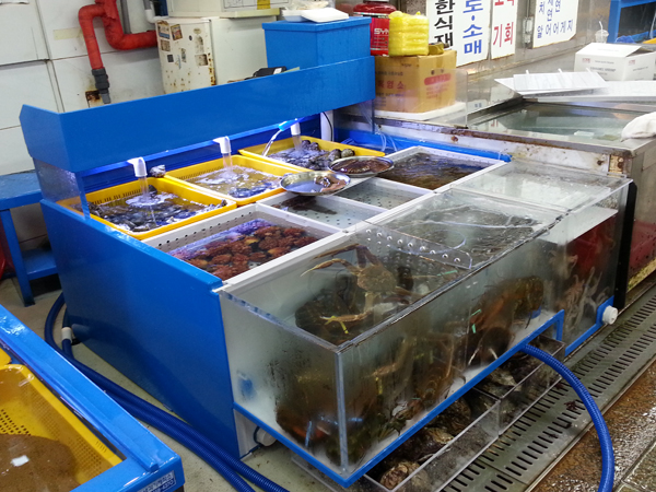 20140716_172857.jpg