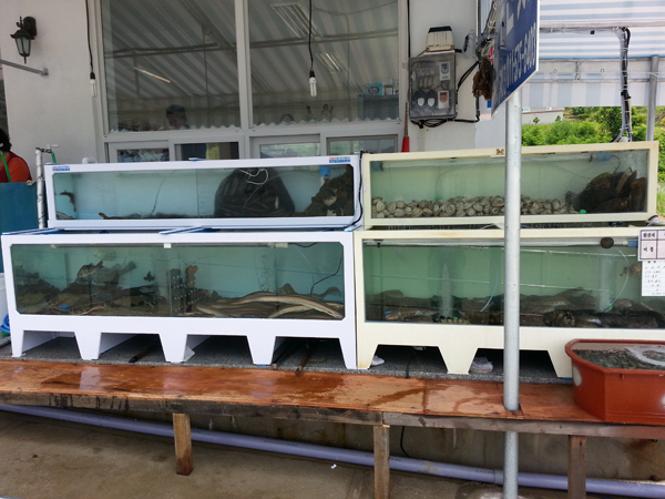 20140611_125858.jpg