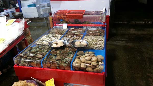 20150126_200419.jpg