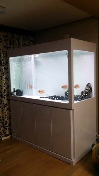 20150130_194618.jpg