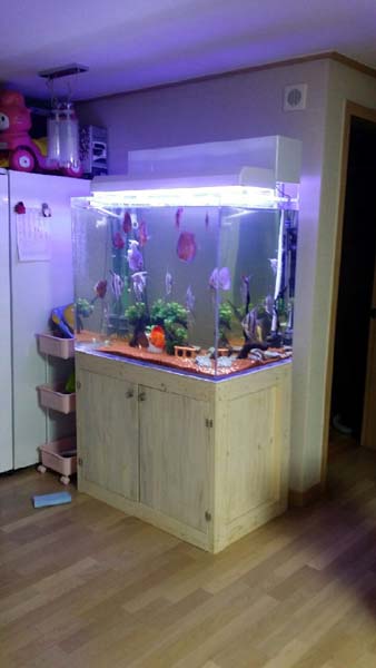 20150130_183128.jpg