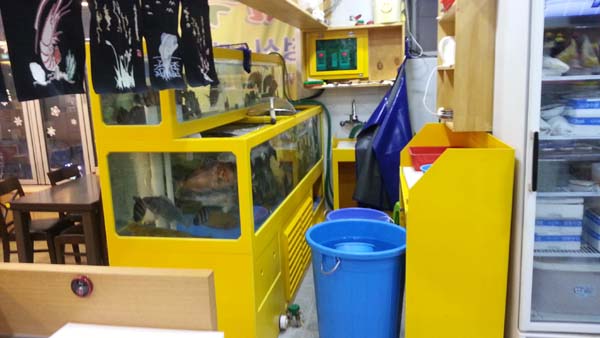 20150302_222746.jpg