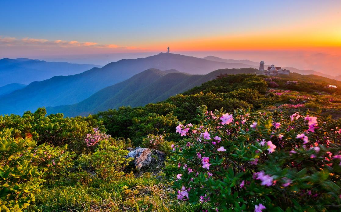 ¼Ò¹é»ê öÂß.JPG