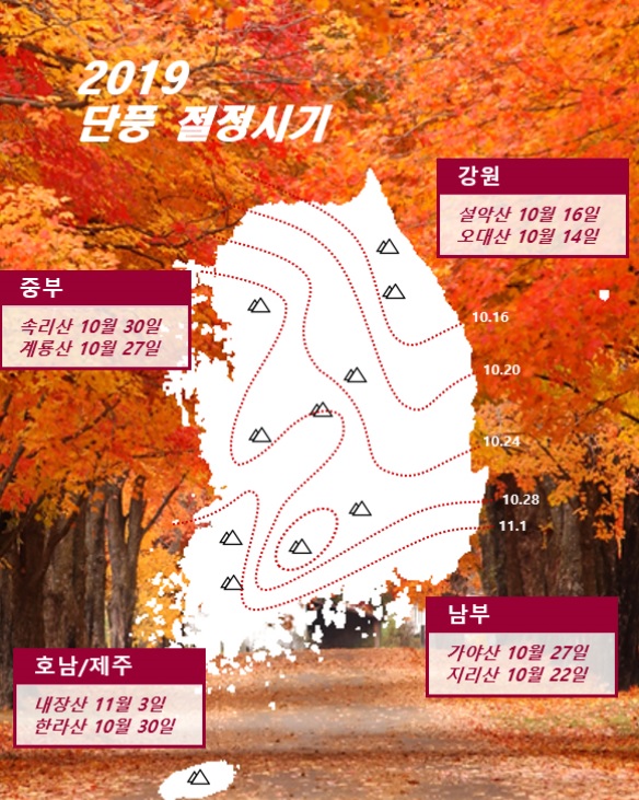 2019�� ��ǳ �����ñ�.jpg