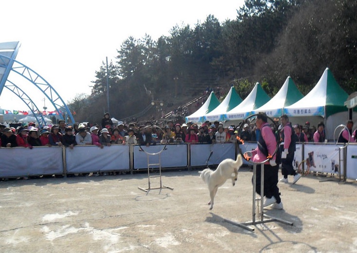 jindo-sea-festival-06.jpg