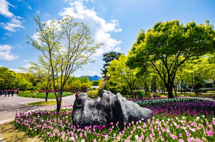daegu-arboretum-05.jpg