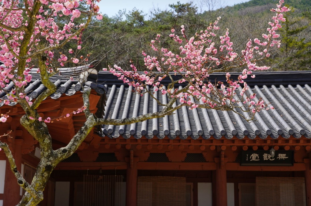 buan-naesosa-07.jpg