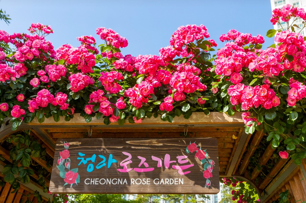 incheon-cheongna-park-02.jpg
