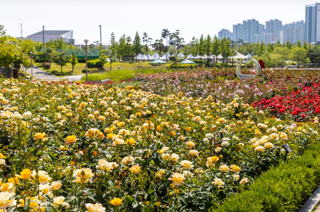 incheon-cheongna-park-04.jpg